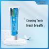 Sanqi Gum Care Fresh Spearmint Toothpaste