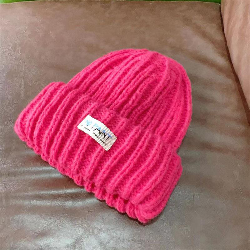 Fashion Cloth Label Knitted Baotou Cap Women's Cycling Travel Versatile Ear Protector Pullover Wool Cap