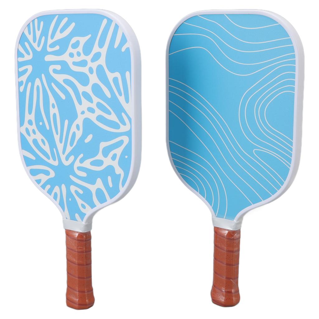 Pickleball Set Portable Fiberglass Pickleball Paddle and Balls Outdoor Honeycomb Pickleball and