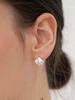 Still Instant Shell Flow Earring