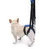 Pet Rear Leg Support Assistance Strap With Upgraded Design Auxiliary Belt For Joint Pressure Relief And Easy Movements