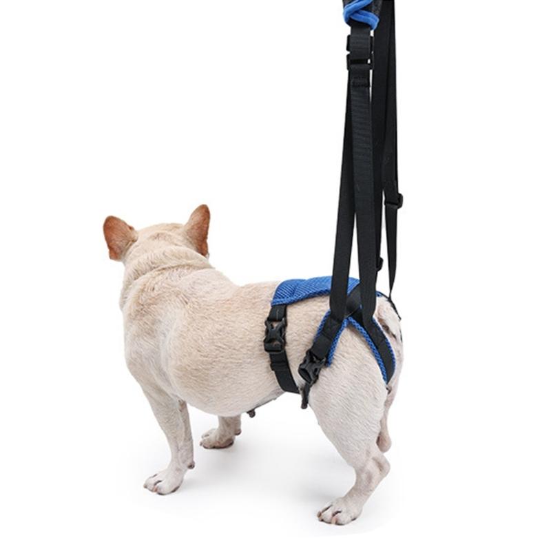 Pet Rear Leg Support Assistance Strap With Upgraded Design Auxiliary Belt For Joint Pressure Relief And Easy Movements