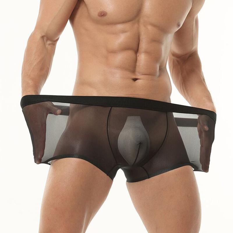 1 Stück Slips Dessous Nylon Einfarbig Unterwäsche Sexy Durchsichtig Boxer Briefs Transparentes Netzbeutel Herren