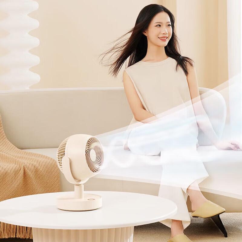 Shinego Air Circulating Fan DSHJ-S-2217B