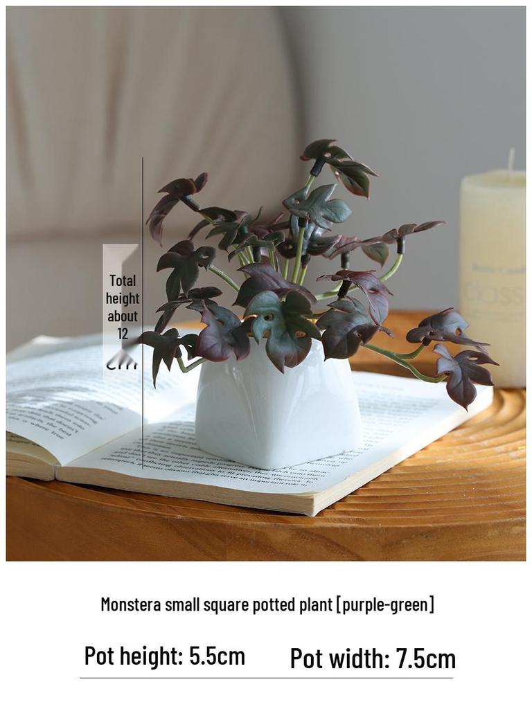 Miniature Succulent Bonsai Desk Ornament: Green Plant Props for Home or Office Decor