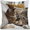 Sofa Pillow Pillowcase Skin-friendly Short Plush Cute Animal Cat Pillow Cover Living Room Cushion Cover Without Core