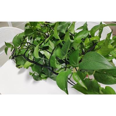 Elastic Trellis Net for Plant Net with Hook Flexible Hydroponics Support for Indoor Plant Garden Horticulture