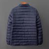 2025 Men's Stand-Collar Down Cotton Jacket: Short, Loose-Fit, Winter Fashion, Casual, Windproof & Warm