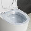 1pcs Toilet Seat, Female Private Parts, Special Cleaning, Buttocks, Squatting Basin, Pregnant Women's Special Basin
