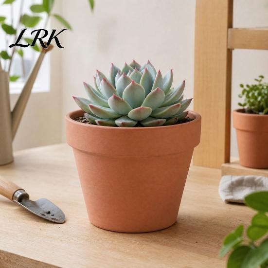 Terracotta Flowerpot Flowerpot, Clay Plant Pot with Drainage Hole, Porous Indoor Outdoor Planter for Plants Succulents Cacti Herbs Crack Resistant