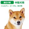 Petio Dog Toy Toothbrushing Rope for Medium Dogs M Size