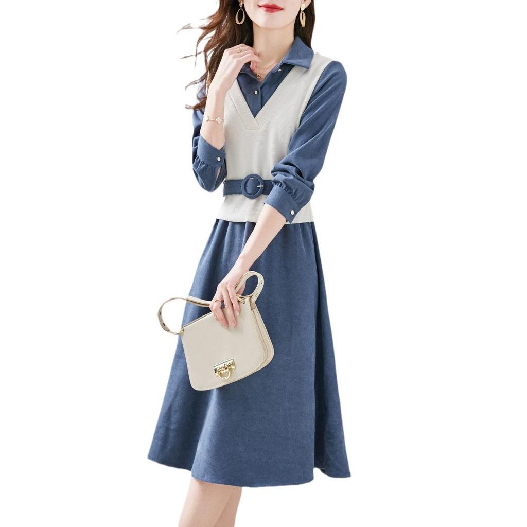 Spring 2024 Trendy Women's A-Line Dress: Long-Sleeved, Waist-Slimming with Large Swing Skirt