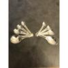 (2 Sets) of Classic 4 Stainless Steel Measuring Spoons 1/4, 1/2, 1 TSP, & 1 TSBP