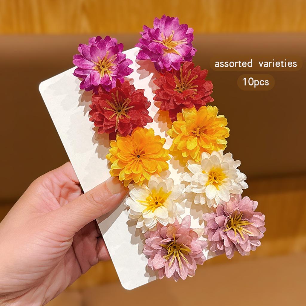 10 bunte zufällige Blumenspangen für den täglichen Gebrauch als Haarschmuck