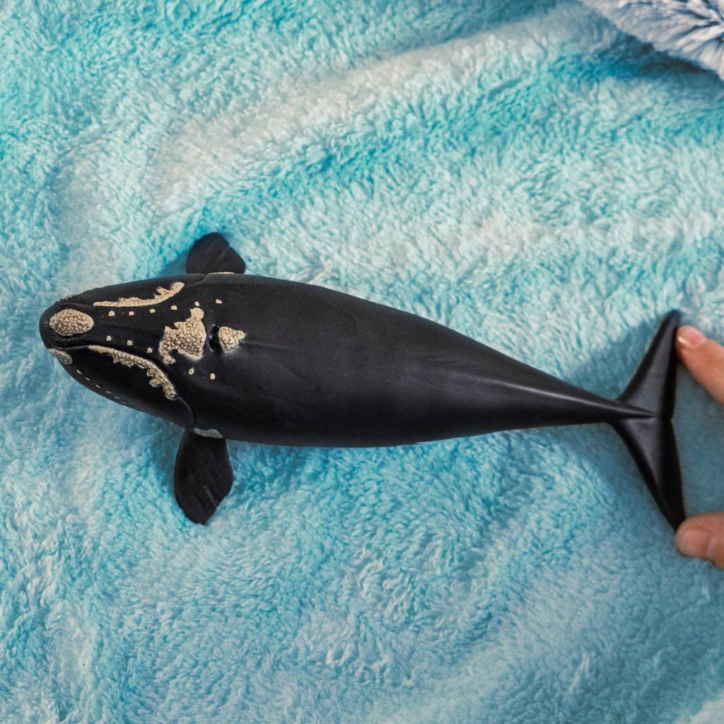 Schleich Wildlife North Atlantic Right Whale 14878