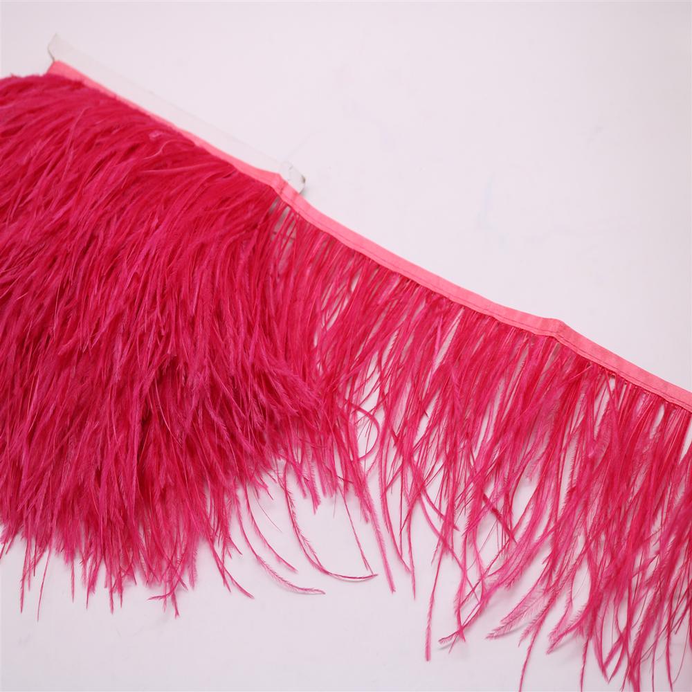 Nastro con Bordatura di Piume di Struzzo Azzurro FeatherLight Frange di Piume di Struzzo Vere per Abbigliamento da Festa Decorazioni per Cucito Piume Artigianato Fai da Te