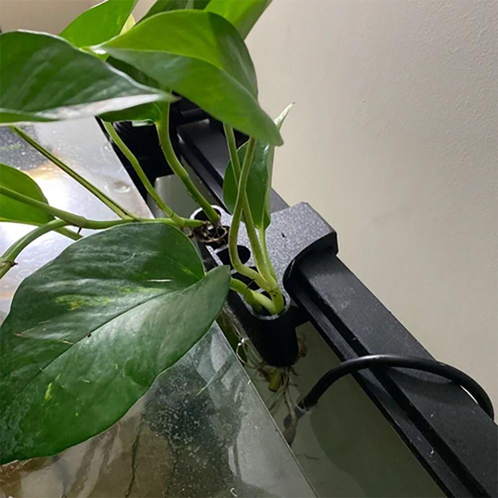 Glass Pot Water Plant Landscape Fish Tank Plant Cultivation Rack Storage Rack Emerging Plant Holder