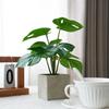 Artificial Turtle Back & Caladium Leaf Plants - Small Potted Decorations for Office, Living Room, or Coffee Table