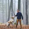 Giocattoli Retrattili Interattivi con Bastone per Cani Estensibile Flirt Pole Divertente Caccia alla Coda Teaser ed Esercitatore per Animali Domestici Cane Giocattolo Animale Domestico Giocattolo