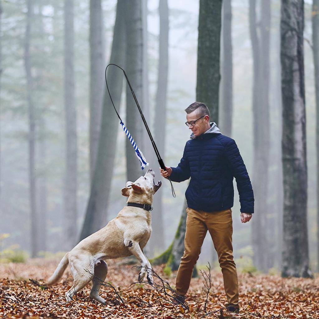 Giocattoli Retrattili Interattivi con Bastone per Cani Estensibile Flirt Pole Divertente Caccia alla Coda Teaser ed Esercitatore per Animali Domestici Cane Giocattolo Animale Domestico Giocattolo