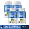 Pslalae White Mulberry Leaf Extract Capsules, 10:1 Extract, 5000 mg White Mulberry Leaf, Overall Health, Suitable for Adults