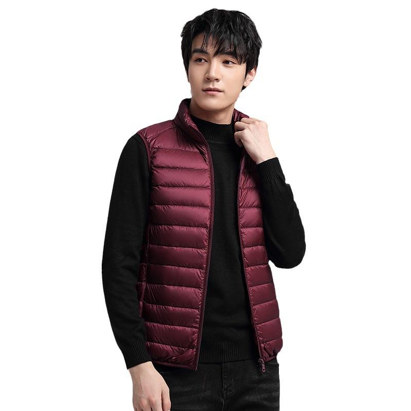 Giacca leggera in piumino da uomo corta autunno e inverno collo alto moda casual tendenza versatile giacca calda da uomo