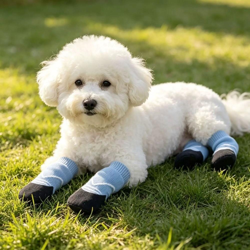Soft Sole Pet Booties Wear Resistant Dog Foot Cover Easy Wear Paw Protector Small Dog Walking