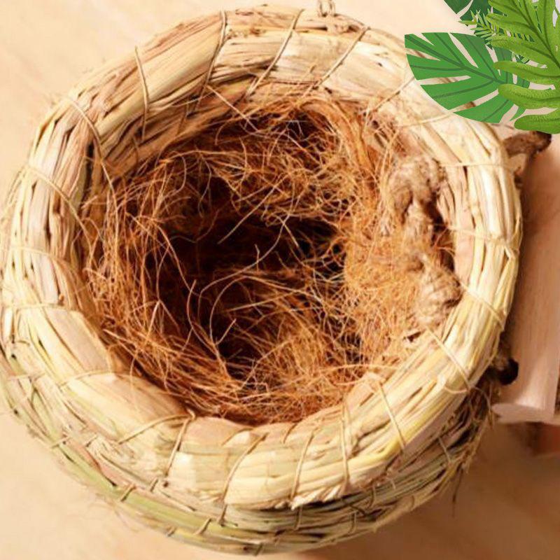 50g Coconut Palm Silk Coconut Shell Silk Greening Covering Potted Coconut Silk Paving Decorative Bird's Nest Bedding Breathable Grass Silk