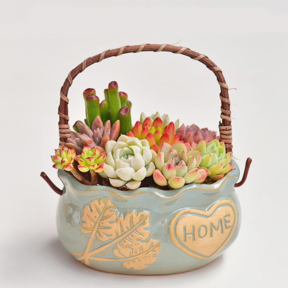 Creative Succulent Planter with Handle Multifunction Resin Flower Pot Corrosion-resistant Decorative Ornament