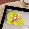 Cloth Flower Hair Clip Butterfly Orchid Pearl Orchid Flower Hairpin Duckbill Clip Korean Style Girl Hair Clip