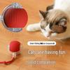 Qio Smart Electric Pet Teasing Ball (2-Pack)