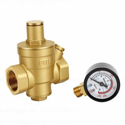 Water Pressure Regulator Valve DN20 3 4 Inch Thread Heavy Duty Brass Water Pressure Reducing Valve with Filter and Gauge