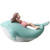 Nordic Adorable Whale Girl Small Ornaments Anime Living Room Tabletop Girl Room Home Decoration Unique Gift Durable