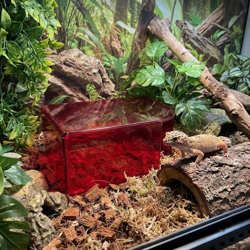 Translucent Lizard Acrylic Shelter Breathable Reptile Hideout Reptile Hide Cave  Pet Breeding