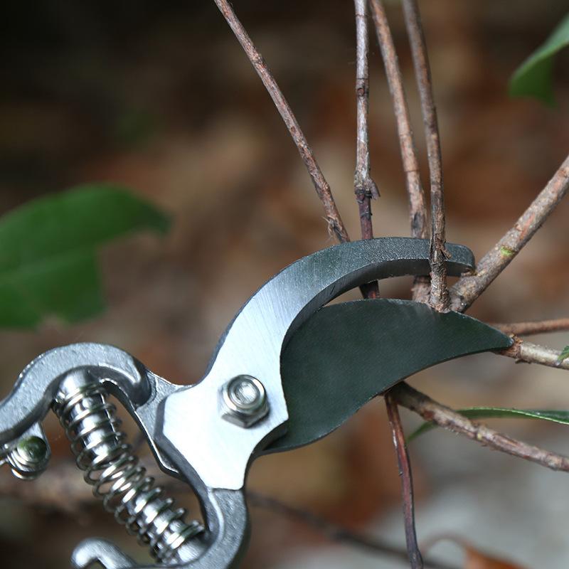 Pruning Shears Household Garden Grafting Shears Manual Resin Shears Garden Pruning Pliers 8 Inch Fruit Branch Shears
