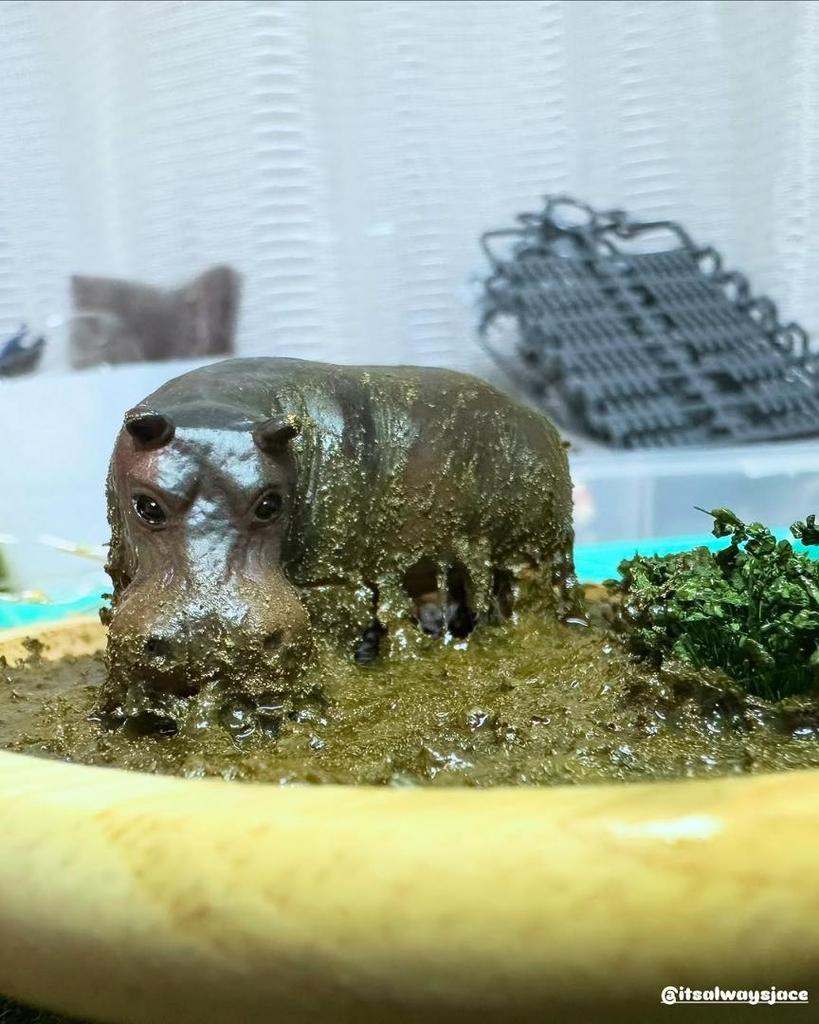 [USED] Hippopotamus figure/diorama