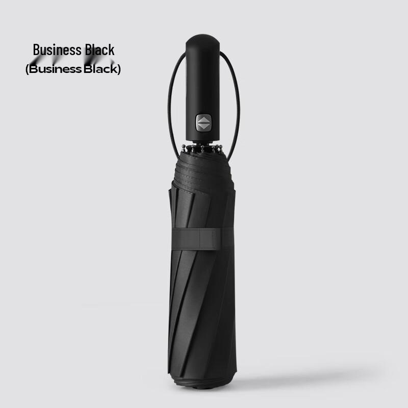 Kaideno Large Automatic 10-Rib Folding Umbrella