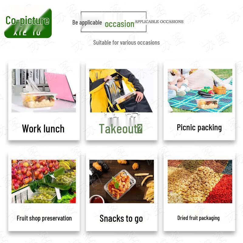 Rectangular Transparent Disposable Plastic Lunch Box