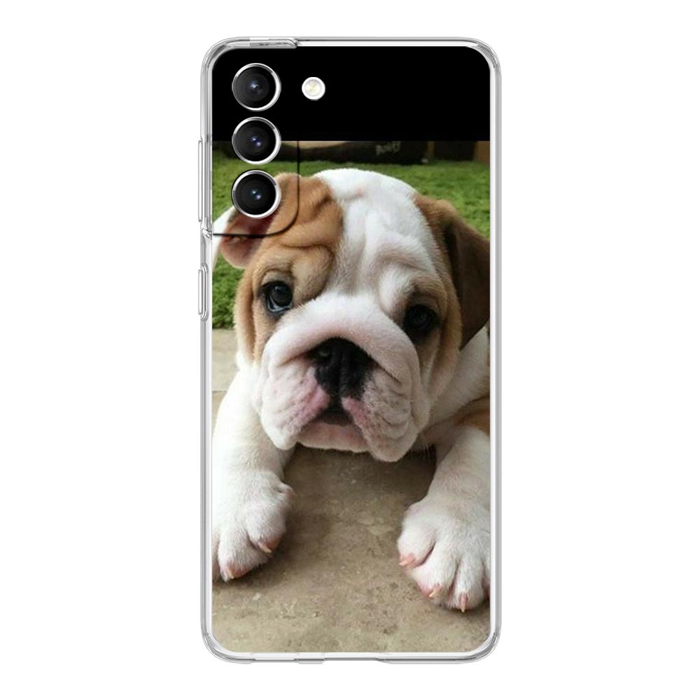 Phone Case For Samsung Galaxy S25 Edge S24 S23 FE S22 Ultra S20 S21 5G S10 Plus S10E Soft Clear Cover French Bulldog Dog Pet