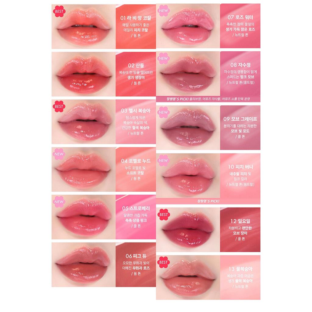 AMUSE Dew Tint 4g 13 tonalità