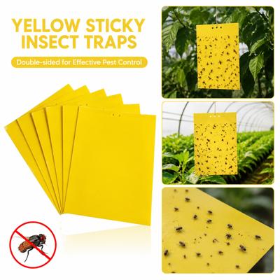 Menaj și curățenie – Împotriva insectelor