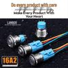 Blue Wave 16A2 Metal Waterproof Switch with Light, Self-Locking Reset, Stainless Steel IP67 Start-Stop Button