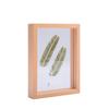 A4 3D Creative Photo Frame: No-Punch, Double-Sided Glass Plant Specimen Display (6-Inch/7-Inch)
