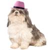 Dog Cowboy Hat Headgear Cat Funny Headwear Costume Performance Photo Props Pet Cosplay Accessories