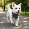 Dog Collar Outdoor Anti Lost Escape Proof Leashable Comfortable Breathable Adjustable Stain Resistant Washable Pet Scarf