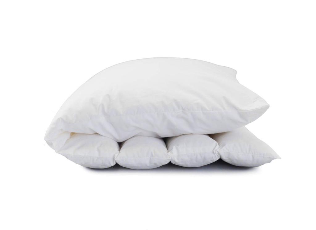 Danfill Pillow Me Pillow Me with Dedicated Pillow Cover JPA213-AKS18-3