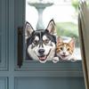 Samolepka s umělým zvířetem husky kotě vykukující sklo