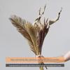 Wabi-sabi Dried Flower Arrangement: Reed, Pine Cones, Cotton, Wheat, Poppy Bouquet