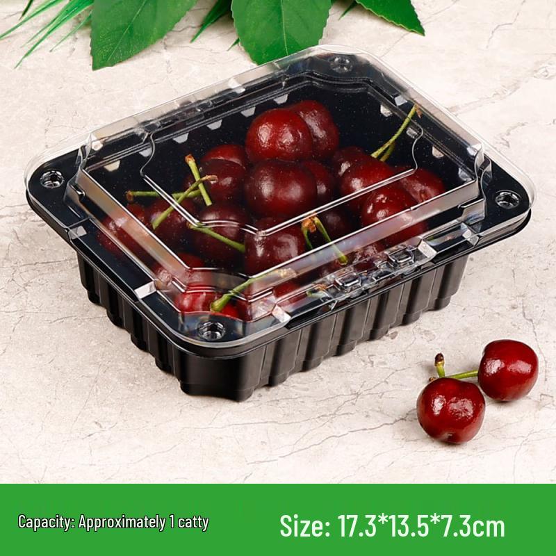 Clear Disposable Rectangular Plastic Food Containers with Lids (100-Count)