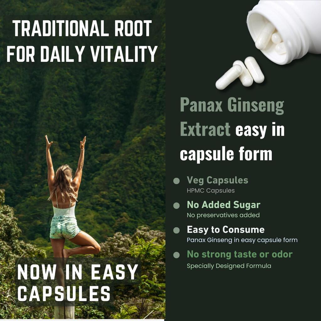 Panax Red Korean Ginseng Capsules | 1000 Mg | 60 Count | Non-GMO